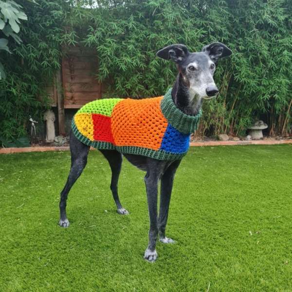 Wally – Dog Jumper – Crochet – cybercraftworks